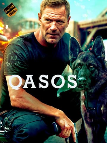 Qasos